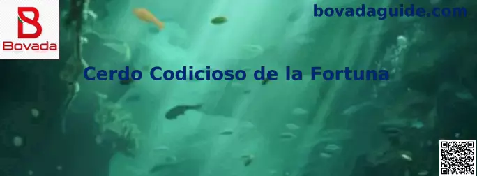 Vista central de Cerdo Codicioso de la Fortuna con acceso a más información