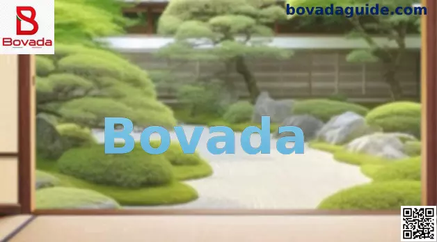 Bovada México Hero
